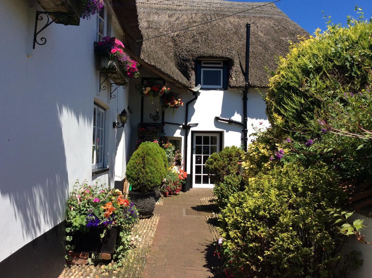 Farmhouse Cottage Sidmouth Buitenkant foto